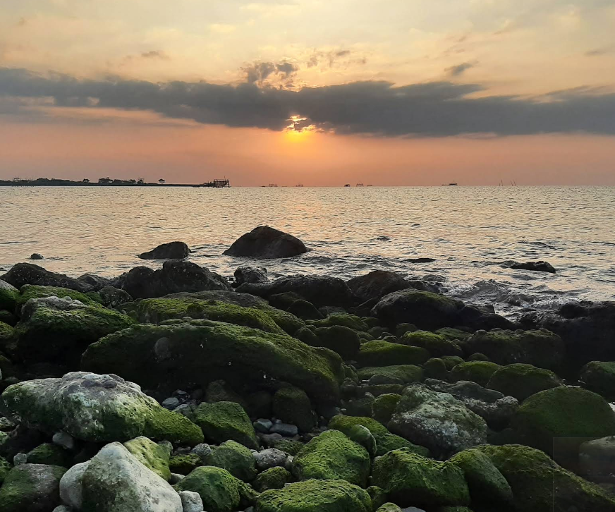 Foto Pantai Cipta