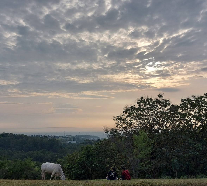 Bukit Undip Semarang